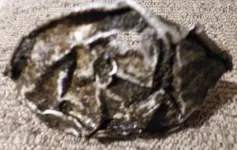 100_1283.webp