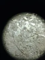 image-3029519608.webp