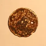 NH FINDS 11-15-2013 013.webp