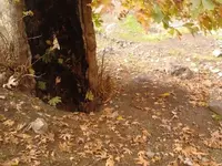 2013-11-22 14.28.22.webp