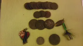 IMAG0520.webp