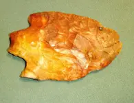 fish point 1.webp