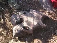 Image003.webp