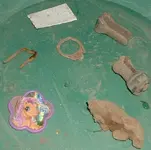DSCF0010(1).webp