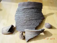 DSCN2520.webp