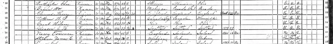 1900 United States Federal Census W B WITHEROW PRISONER cropped version.webp