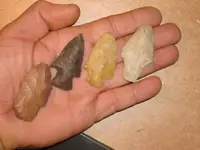 DSC09512.webp