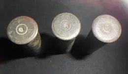 bullet 015.webp
