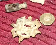 fild finds 003.webp