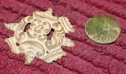 fild finds 004.webp