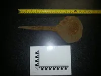 20131105_202022.webp