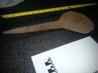 20131105_202030.webp