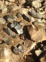 image-763891041.webp
