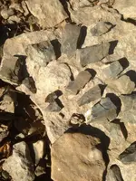 image-1409855662.webp