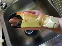 stone crab.webp