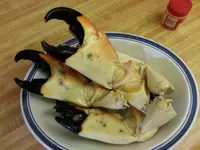 stone crab 1.webp