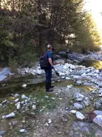 image-2776014796.webp