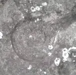 Stones Circle.webp