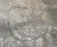 Stones Heart.webp