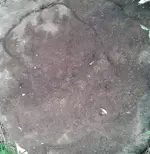 Stone Heart.webp