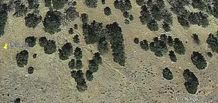 LAD_02zoom1.webp