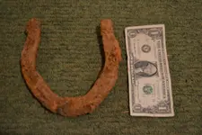 horse shoe 1.webp horse shoe 1.webp