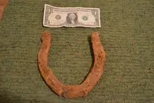 horse shoe 2.webp horse shoe 2.webp