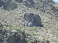 lrgelephant.webp lrgelephant.webp