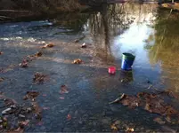 image-1302018436.webp