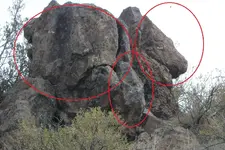 Horse2.webp