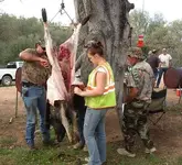 skinning pig.webp