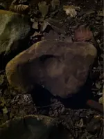 image-614901619.webp