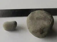 Nutting Stones back.webp
