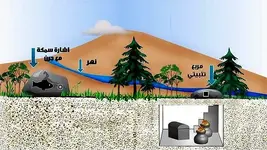 411020037-Amjad..webp