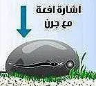 DBM-623002005-Amjadcrop2.webp