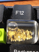 IMG_20131111_090728.gif
