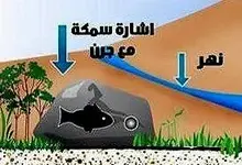DBM-411020037-Amjadcrop.webp