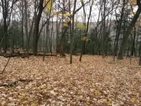 ForumRunner_20131105_181056.webp