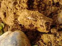 11042013 (3).webp 11042013 (3).webp