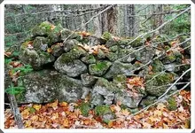 Roxbury, NS 001.webp