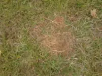 11042013 (0).webp 11042013 (0).webp