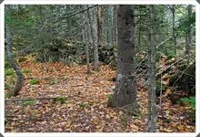 Roxbury, NS 002.webp