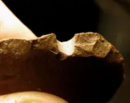 13 CP 10272013 Arrow Head Edge1.webp