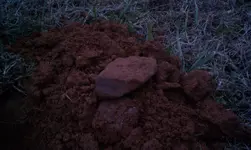 IMAG1923.webp