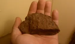IMAG1927.webp