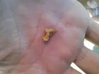 CHRIS .9 GRAM C.webp CHRIS .9 GRAM C.webp