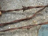 barbwire 002.webp