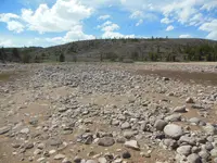 DSCN0489.webp