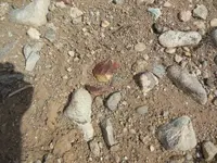 DSCN0500.webp