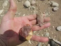 DSCN0502.webp